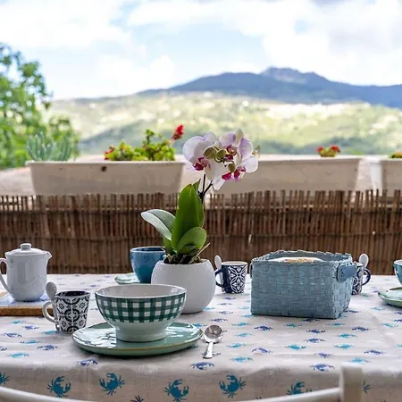 Apartamento Le Ginestre Di Campo *